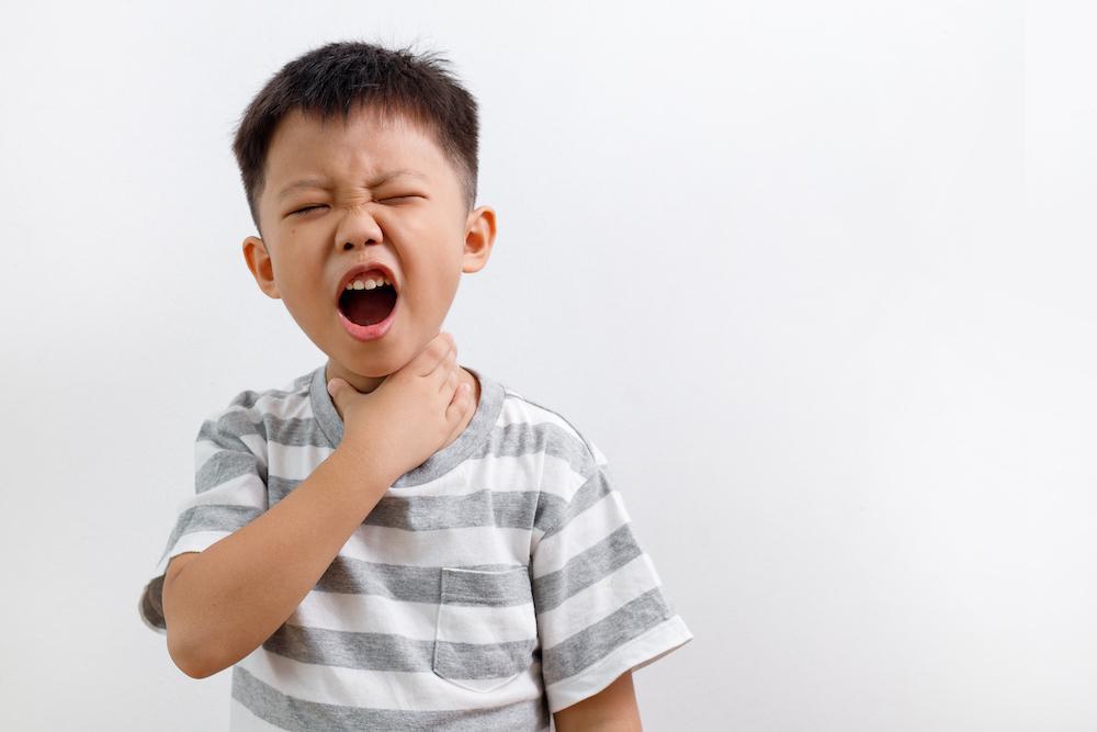 Throat