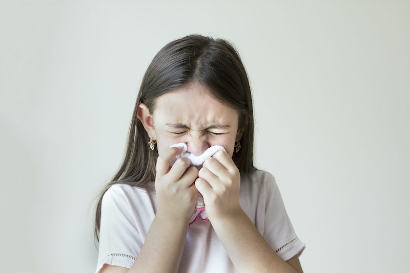 Read more about the article Nose and Sinus